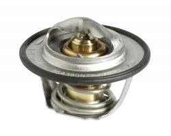 THERMOSTAT* Part #504380075
