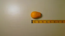 GRIP, YELLOW,62 Part #K2871-42660