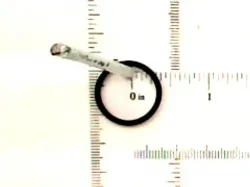 O-RING          * Part #9991976