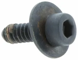 SCREW Part #503217716