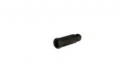 SCREW Part #87801302