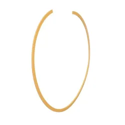 BACK-UP RING Part #404015R1