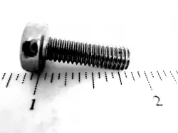 SCREW* Part #86511830