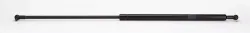 GAS STRUT        Part #87559372