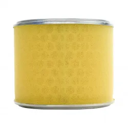 Air Cleaner Element (Air Filter) Part #17210-ZE3-505