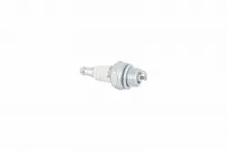 PLUG SPARK (RCJ6* Part #530030179