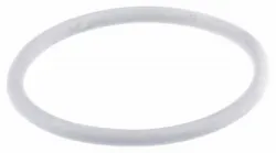O-RING LIGHT GRE Part #580443902