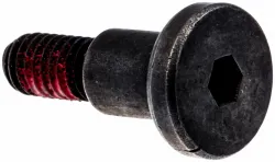 SCREW Part #503842902
