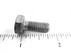 SCREW           * Part #16043324
