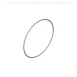 O-RING Part #47976863