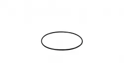 O-RING           Part #14467380