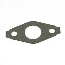GASKET-INTAKE Part #692555