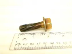 HEX FLNG SCRW Part #86515926