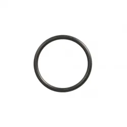 O-RING* Part #17289480