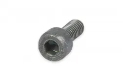 SCREW            Part #14302928