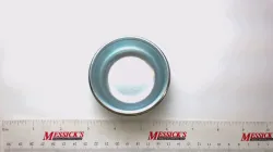 HUB CAP Part #531