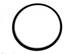O-RING          * Part #87421145