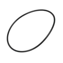 O-RING          * Part #87421149