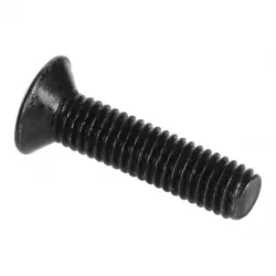 SCREW Part #13313417