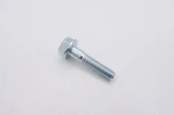 EHHFM Screw Part #506570106