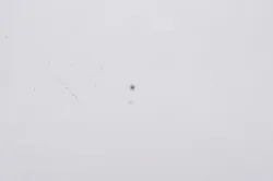 BALL             Part #07711-00002