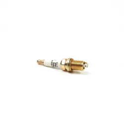 Engine Spark Plug Part #793541