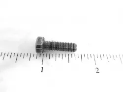 SCREW Part #86050276