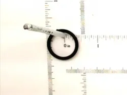 O-RING          * Part #167269