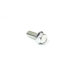 SCREW 3/8-16X1 Part #704038