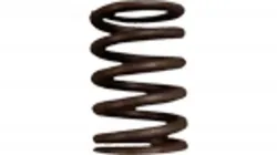 Case IH #3055060R1 SPRING