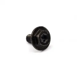 SCREW Part #699854