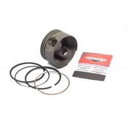 PISTON ASSEMBLY Part #799063