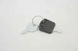 Bush Hog #50047913 Ignition Key Set