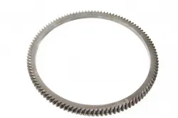 GEAR, RING       Part #4602143