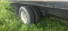 International 4300
