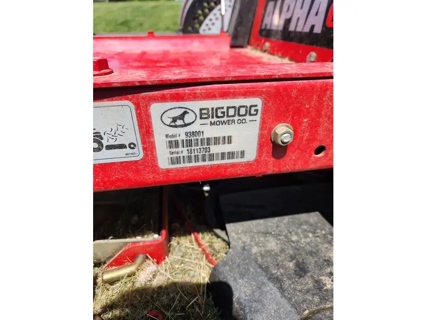 Big Dog 938001