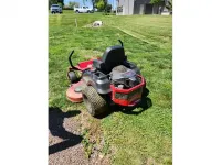 Big Dog 938001
