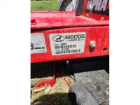 Big Dog 938001