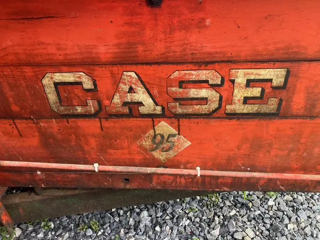 Case 95